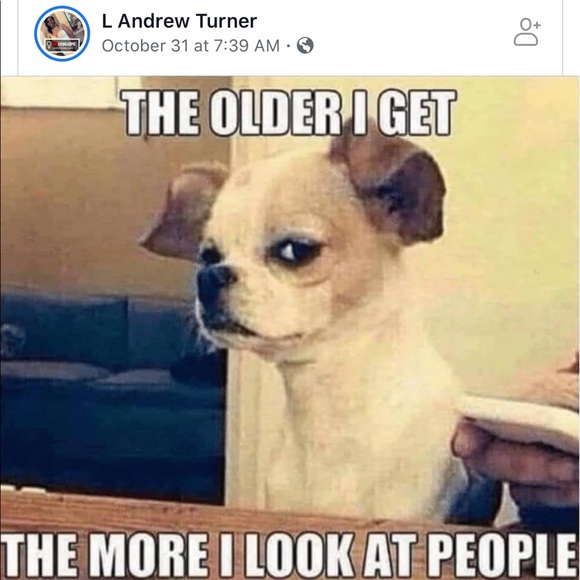 Meet your Posher, Norma - Picture 1 of 1